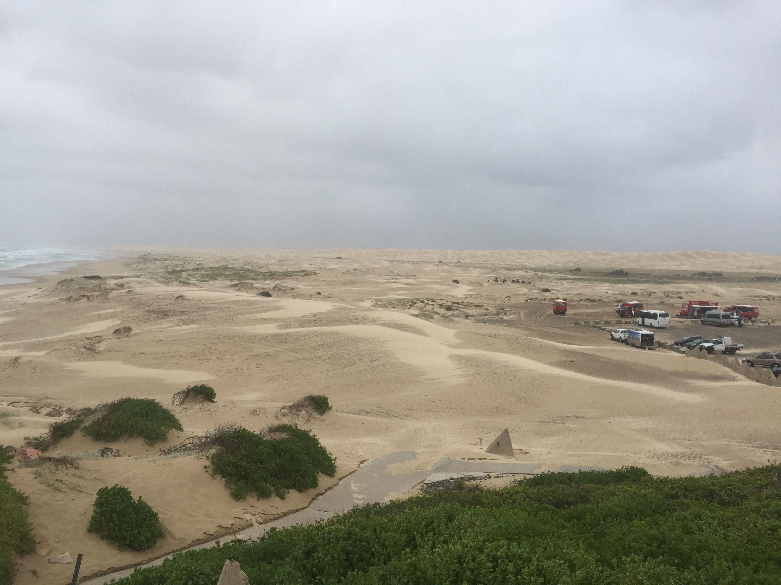 Newcastle Explorer Image -5a98ebeb982a3